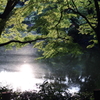 夏の終わり