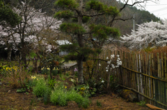 栃木県佐野市仙波