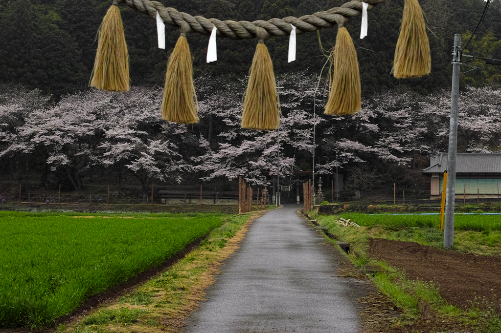栃木県佐野市仙波