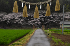 栃木県佐野市仙波