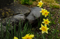 栃木県佐野市仙波