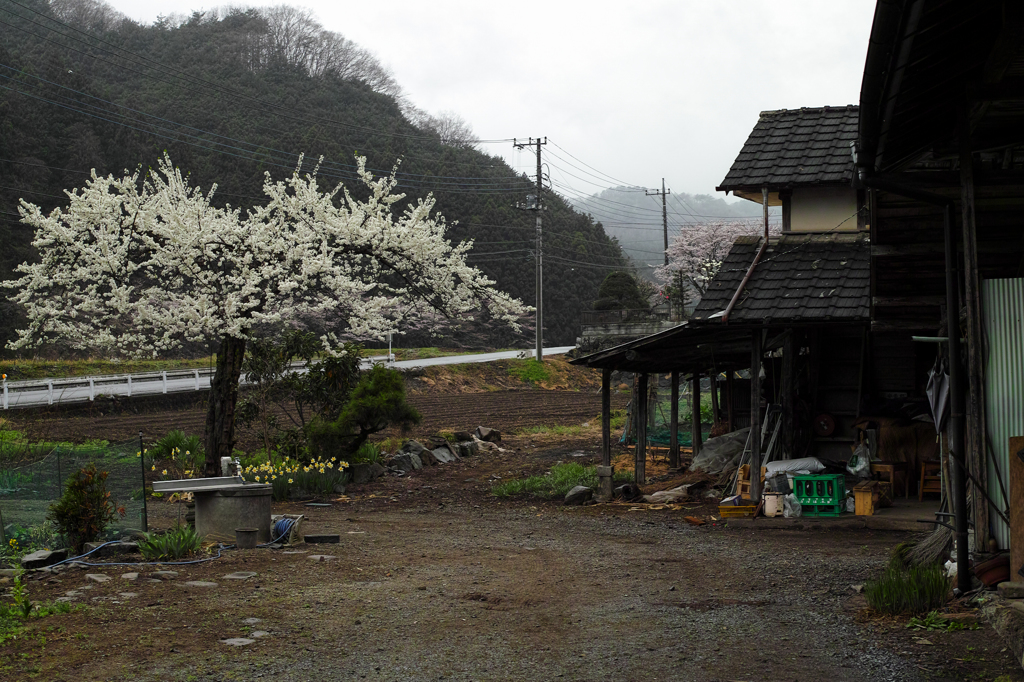 栃木県佐野市仙波