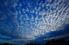 朝焼けと羊雲