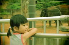 動物園にて