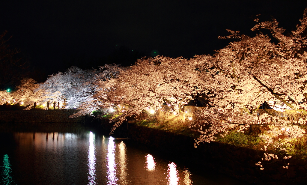 夜桜　松本城周り2