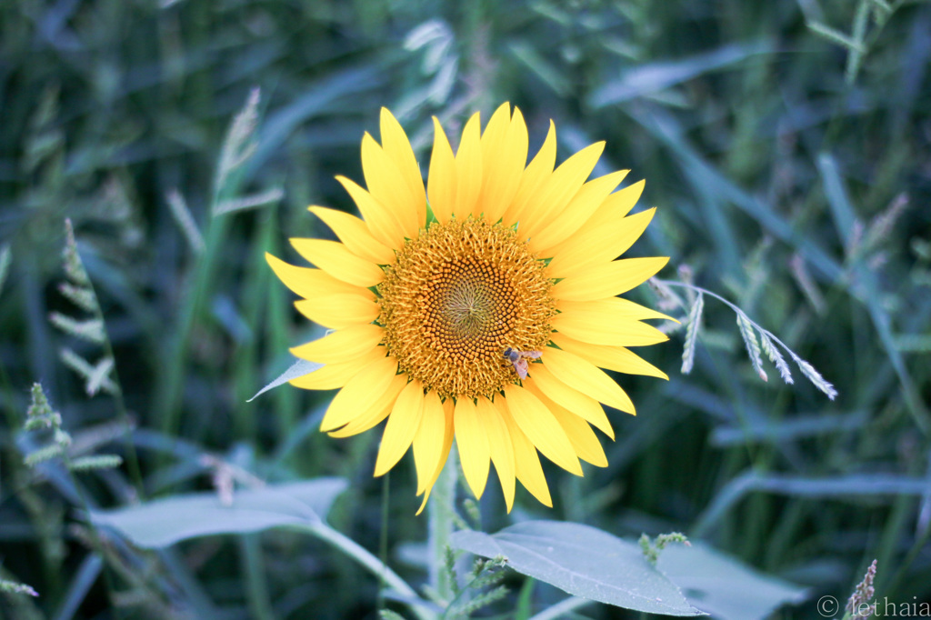 20150807-0004