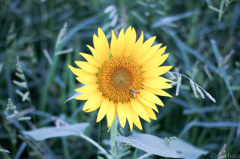 20150807-0004