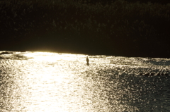 DPP_00000019