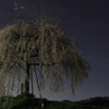 DPP_00000365
