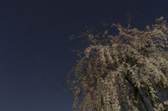 DPP_00000366
