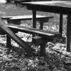 DPP_0058