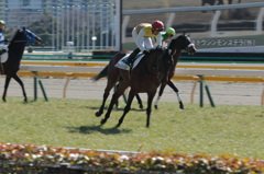 DPP_00000046