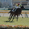 DPP_00000046