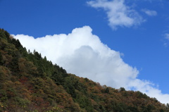 DPP_0009