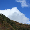 DPP_0009