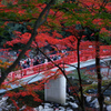 香嵐渓の紅葉と川
