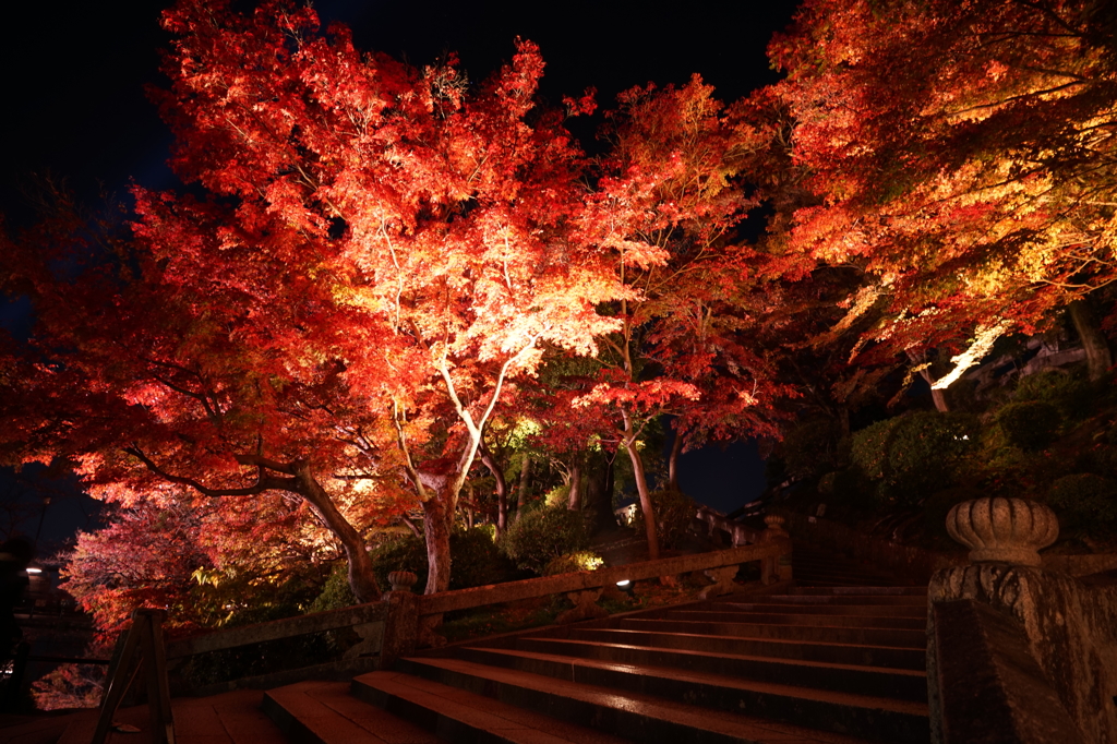 清水寺の紅葉