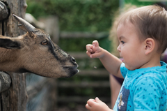 動物園　26.07.15,