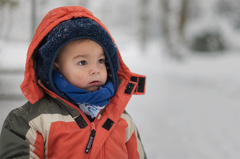 見上げれば、雪。30.12.14