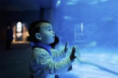 見つめる先は、魚。20.04.15