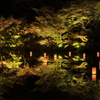 紅葉ライトアップ②