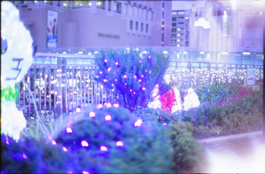 イルミネーション