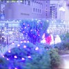 イルミネーション