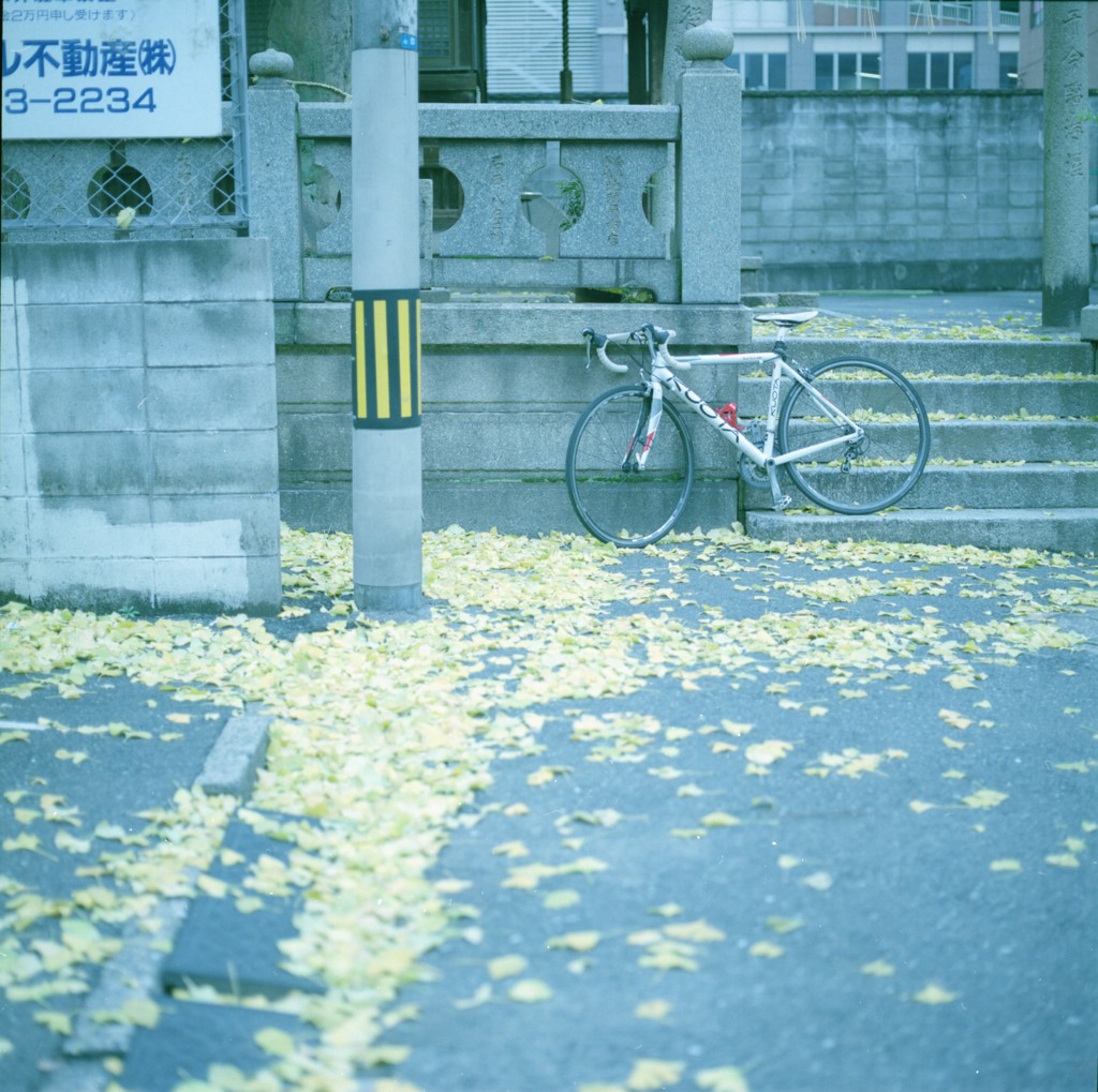 おちば