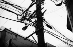 電柱2