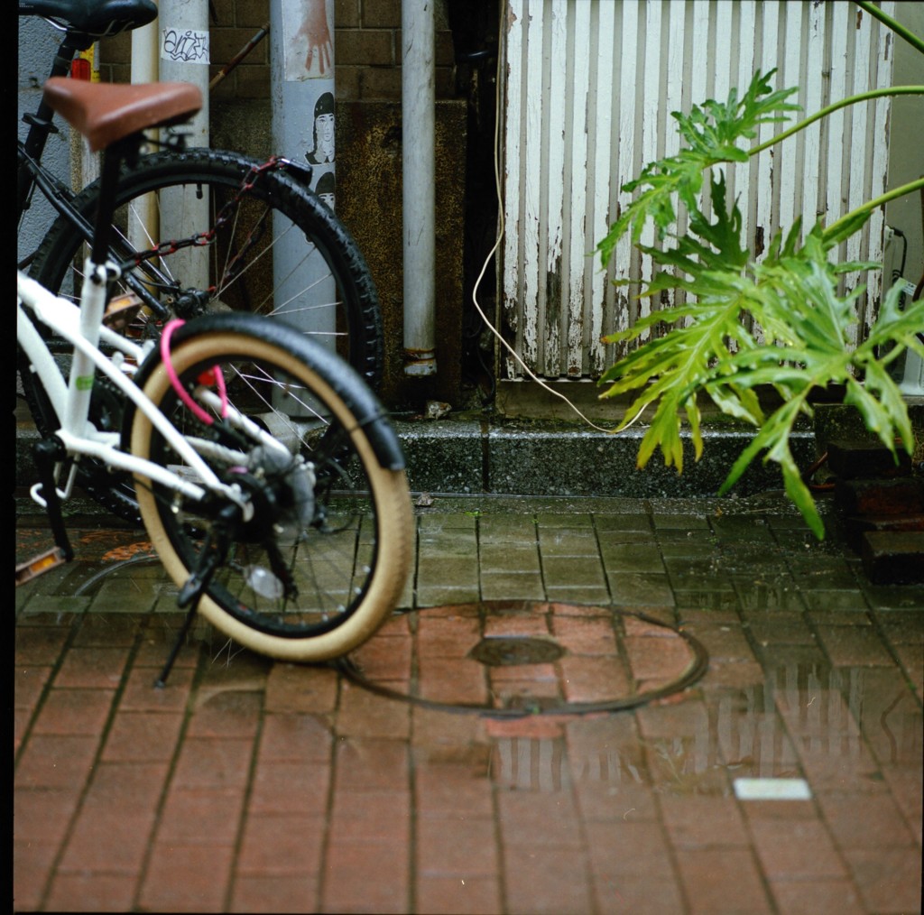 雨ぽちゃぽちゃ