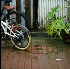 雨ぽちゃぽちゃ