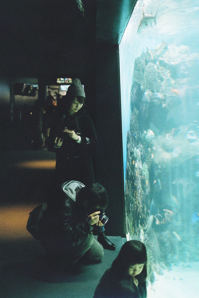 水族館で