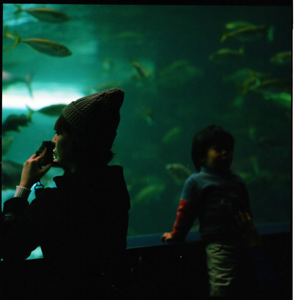 水族館で