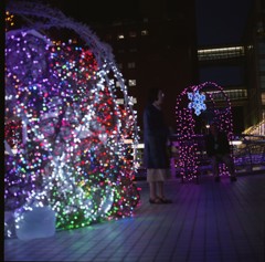 水玉