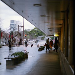 雨を避けて