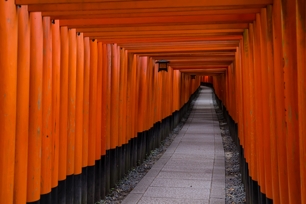 千本鳥居