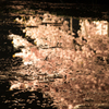桜之鏡