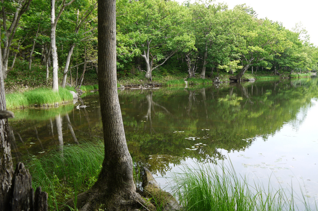 知床四湖