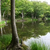 知床四湖