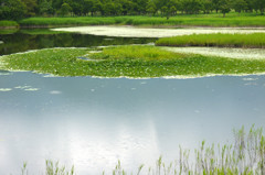 知床一湖