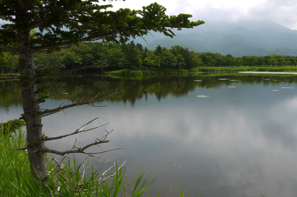 知床一湖
