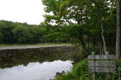 知床五湖