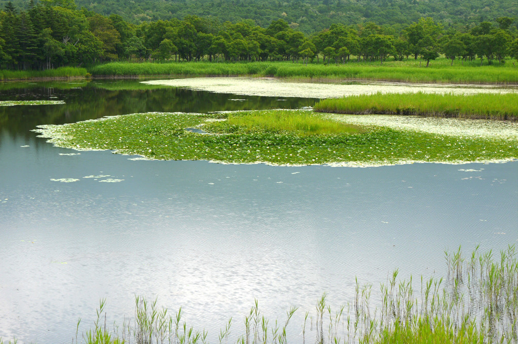 知床一湖