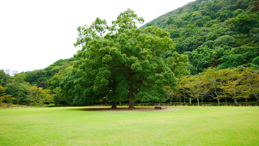 栗林公園