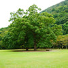 栗林公園