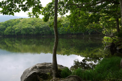 知床四湖
