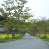 普賢寺観音寺２