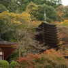 談山神社２