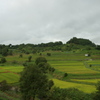 明日香村稲淵２