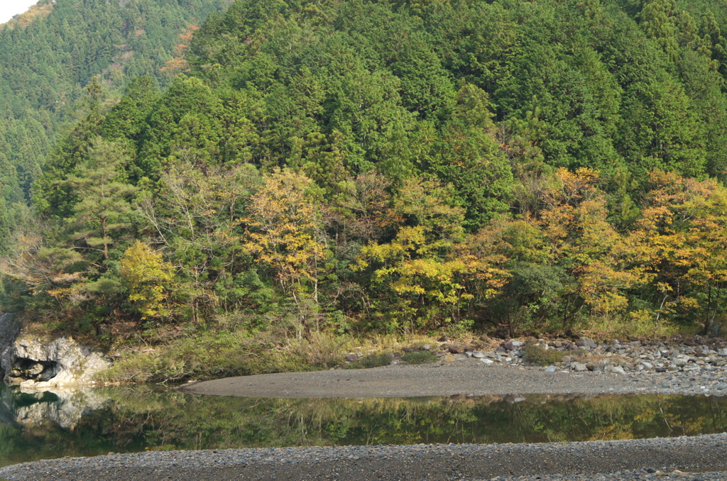 モネの池途中１